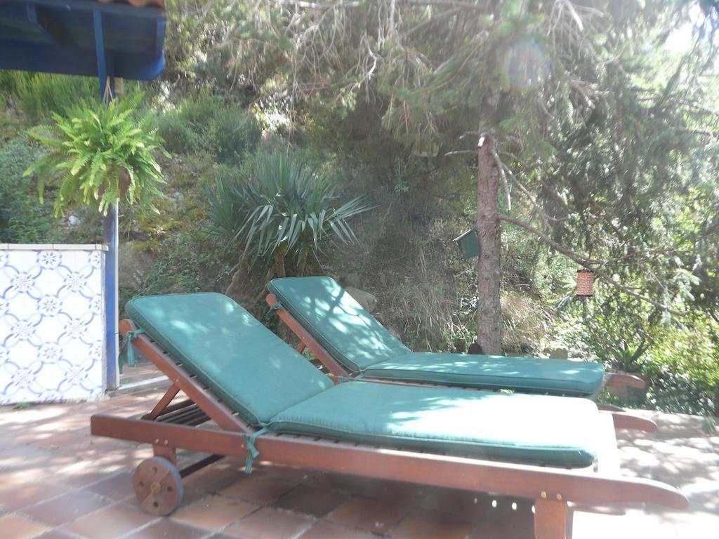 Hostal L'Ou De Reig مونتسيني المظهر الخارجي الصورة